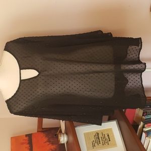 Bell sleeve sheer black top with gold dots